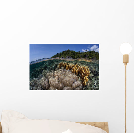 Diverse Array Reef-building Corals Wall Decal Design 5