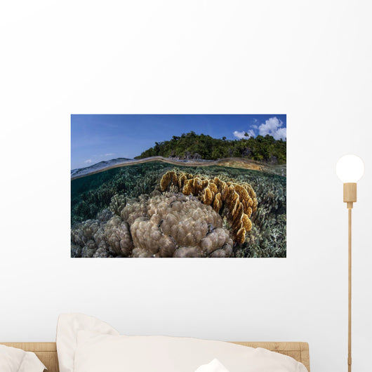 Diverse Array Reef-building Corals Wall Decal Design 5