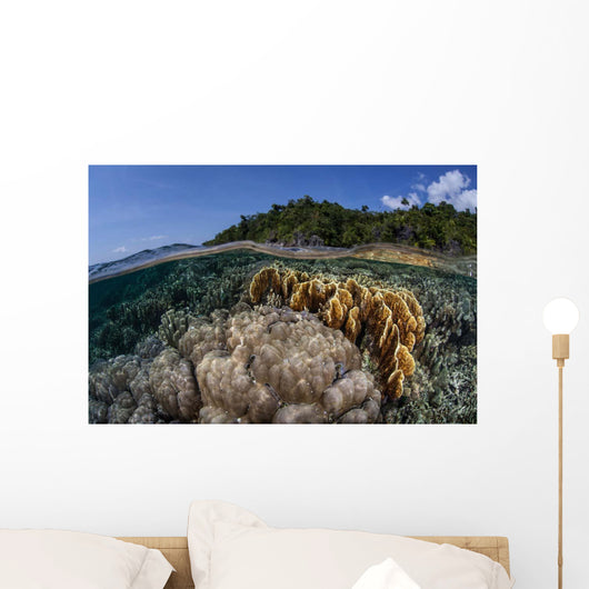 Diverse Array Reef-building Corals Wall Decal Design 5