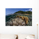 Diverse Array Reef-building Corals Wall Decal Design 5