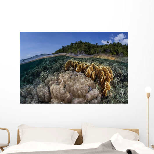 Diverse Array Reef-building Corals Wall Decal Design 5