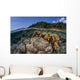 Diverse Array Reef-building Corals Wall Decal Design 5