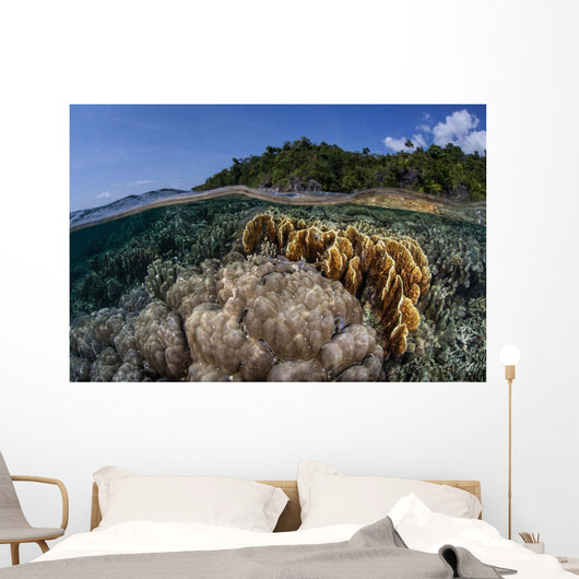 Diverse Array Reef-building Corals Wall Decal Design 5