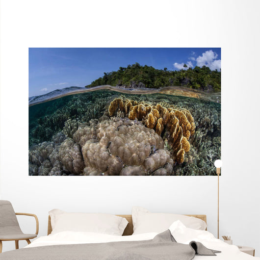 Diverse Array Reef-building Corals Wall Decal Design 5