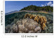 Diverse Array Reef-building Corals Wall Decal Design 5