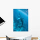 Humpback Whale and Her Wall Decal Design 2