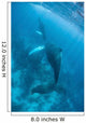 Humpback Whale and Her Wall Decal Design 2