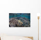 Fragile Corals Grow Shallow Wall Decal Design 9