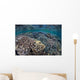 Fragile Corals Grow Shallow Wall Decal Design 9