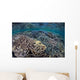 Fragile Corals Grow Shallow Wall Decal Design 9