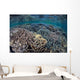 Fragile Corals Grow Shallow Wall Decal Design 9