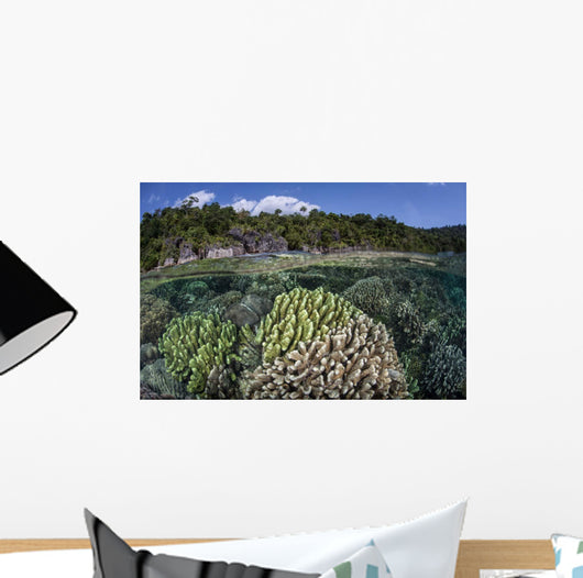 Diverse Array Reef-building Corals Wall Decal Design 4