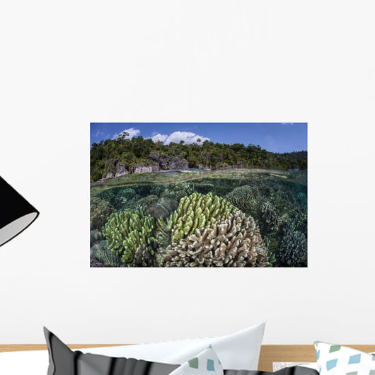 Diverse Array Reef-building Corals Wall Decal Design 4