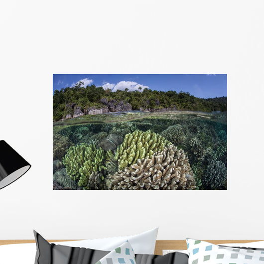 Diverse Array Reef-building Corals Wall Decal Design 4