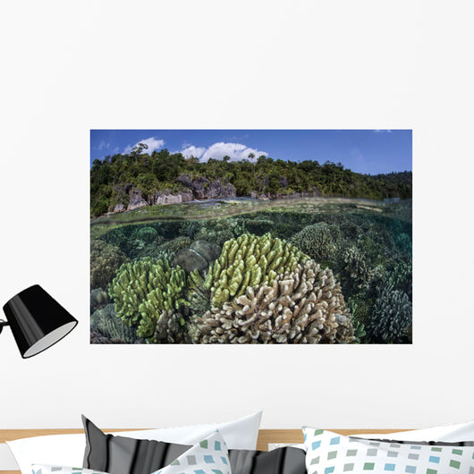 Diverse Array Reef-building Corals Wall Decal Design 4