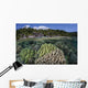 Diverse Array Reef-building Corals Wall Decal Design 4