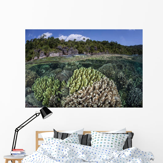 Diverse Array Reef-building Corals Wall Decal Design 4