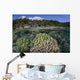 Diverse Array Reef-building Corals Wall Decal Design 4