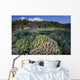 Diverse Array Reef-building Corals Wall Decal Design 4