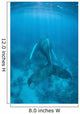 Humpback Whale Caribbean Sea Wall Decal Design 1