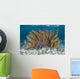 Colorful Gorgonian Grows off Wall Decal Design 2