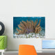 Colorful Gorgonian Grows off Wall Decal Design 2