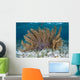 Colorful Gorgonian Grows off Wall Decal Design 2