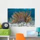 Colorful Gorgonian Grows off Wall Decal Design 2
