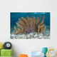 Colorful Gorgonian Grows off Wall Decal Design 2