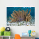 Colorful Gorgonian Grows off Wall Decal Design 2