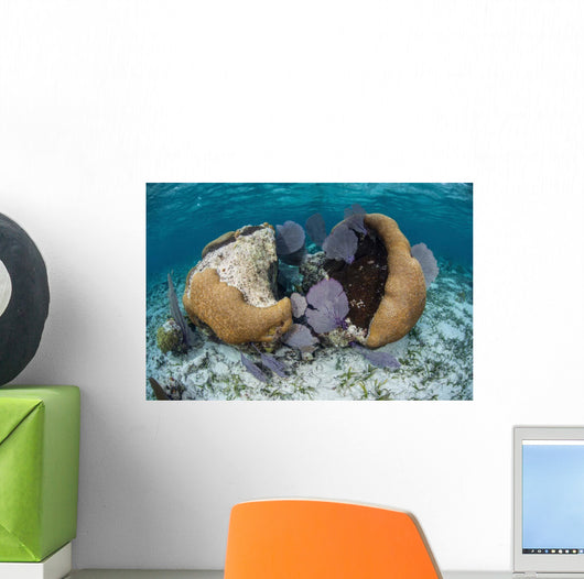 Brain Coral and Gorgonians Wall Decal Design 1