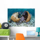 Brain Coral and Gorgonians Wall Decal Design 1