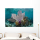 Colorful Gorgonians Grow off Wall Decal Design 5