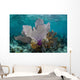 Colorful Gorgonians Grow off Wall Decal Design 5