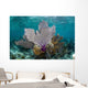 Colorful Gorgonians Grow off Wall Decal Design 5