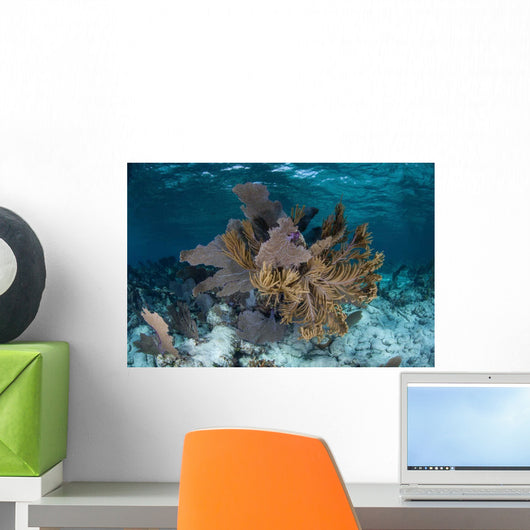 Colorful Gorgonians Grow off Wall Decal Design 4