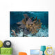 Colorful Gorgonians Grow off Wall Decal Design 4