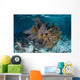 Colorful Gorgonians Grow off Wall Decal Design 4
