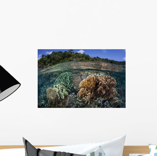 Diverse Array Reef-building Corals Wall Decal Design 3