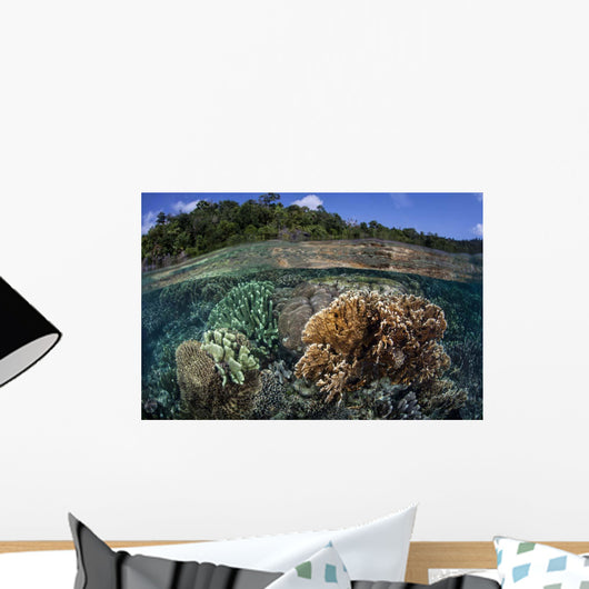 Diverse Array Reef-building Corals Wall Decal Design 3