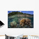 Diverse Array Reef-building Corals Wall Decal Design 3