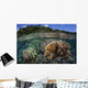 Diverse Array Reef-building Corals Wall Decal Design 3