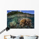 Diverse Array Reef-building Corals Wall Decal Design 3