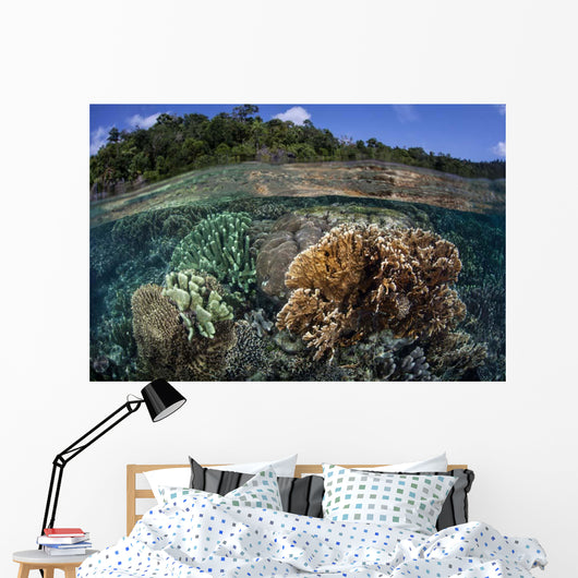 Diverse Array Reef-building Corals Wall Decal Design 3