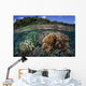 Diverse Array Reef-building Corals Wall Decal Design 3