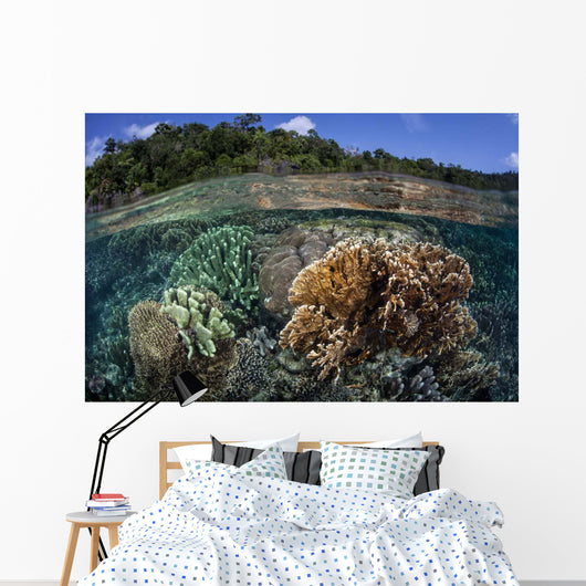Diverse Array Reef-building Corals Wall Decal Design 3