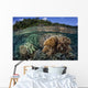 Diverse Array Reef-building Corals Wall Decal Design 3