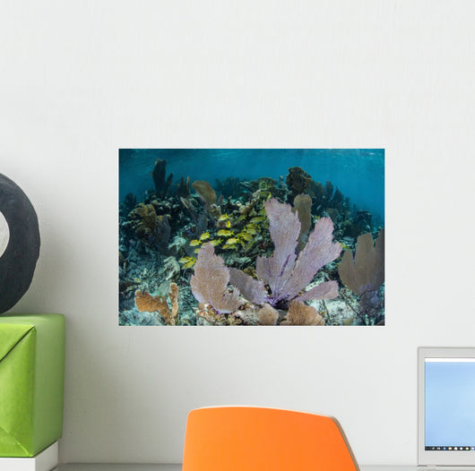 Colorful Gorgonians Grow off Wall Decal Design 3