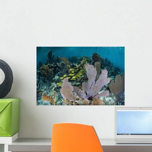 Colorful Gorgonians Grow off Wall Decal Design 3