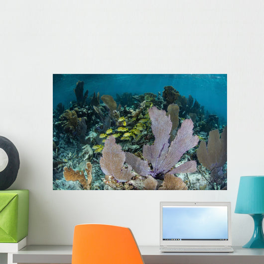 Colorful Gorgonians Grow off Wall Decal Design 3